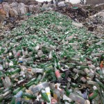 Glass bottles being packed for delivery to the glass industry. Photo credit: Elaine Jones.