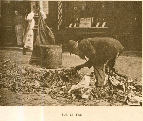 image: Asso Amelior.