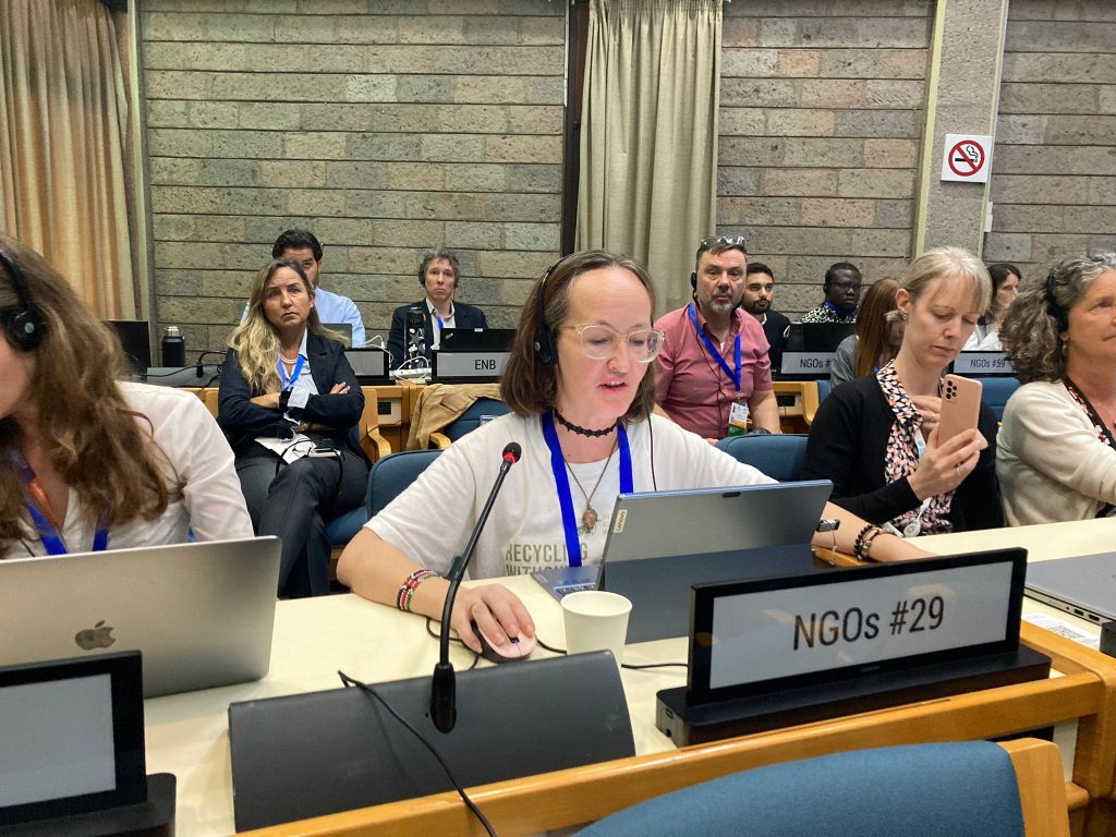 Barbara Weber speaks on behalf of IAWP at the INC-3 in Nairobi